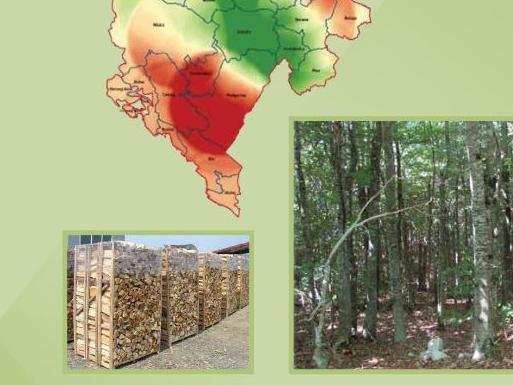 Industrija drvnog goriva u Crnoj Gori pokazuje ozbiljne potencijale 