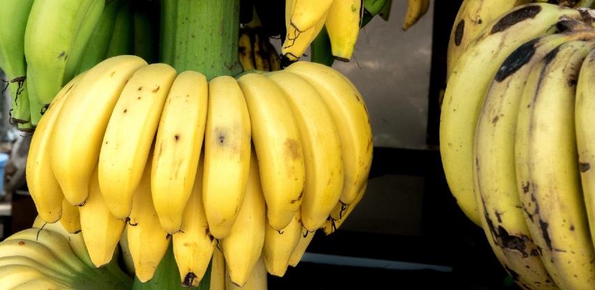 BiH izvezla 250kg banana u proteklih deset mjeseci
