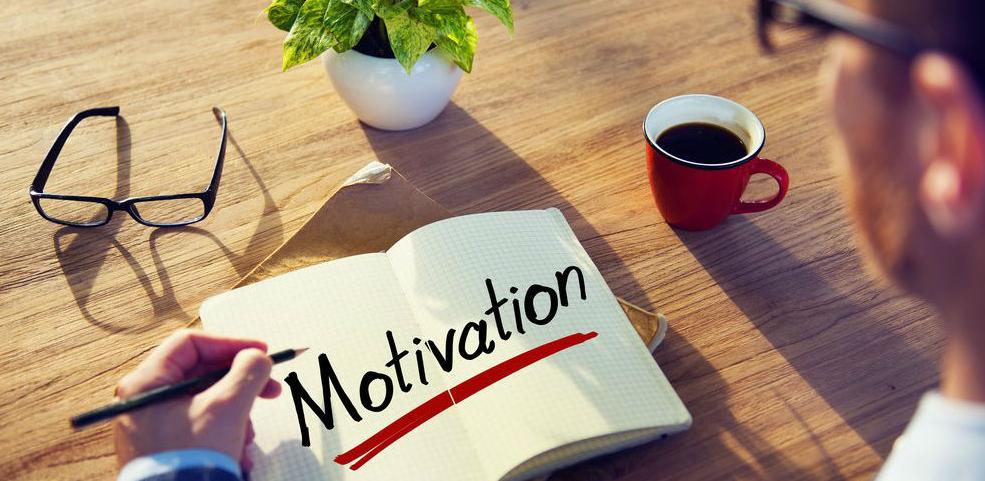Individualna i organizacijska motivacija za povećanje radne uspješnosti