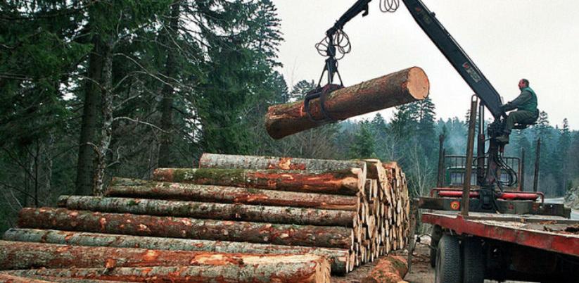 Za 10 godina ugašeno 1.000 radnih mjesta u drvoprerađivačkoj industriji