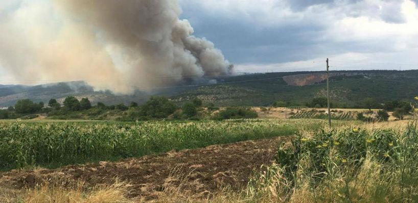 Iz budžeta RS-a 50.000 KM za sanaciju posljedica požara u Hercegovini