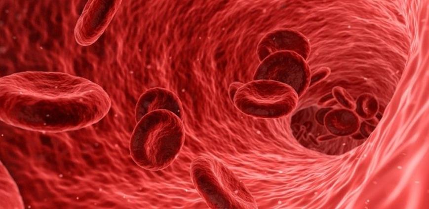 Preliminarno: Krvna grupa može da nas zaštiti od virusa korona