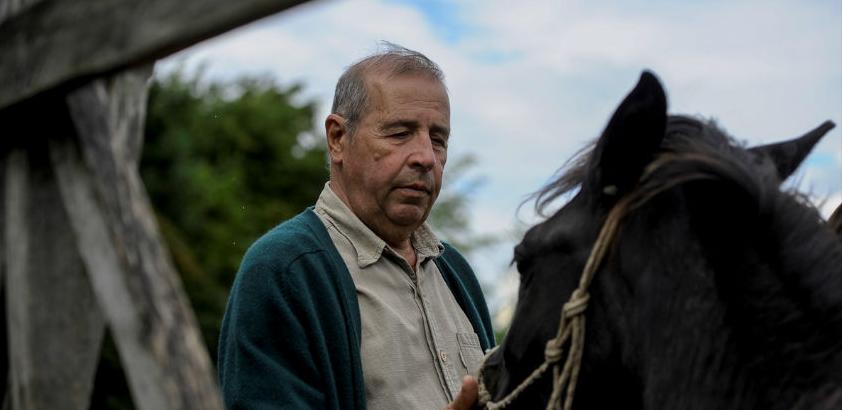 Enver Žiga: Sačuvati bosanskog brdskog konja moja je životna vodilja