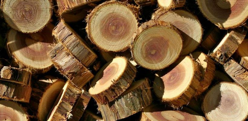 Zalihe drvne mase na miniranim površinama 1,5 milijuna metara kubnih