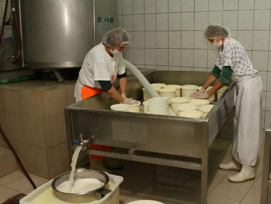 Domaća administracija zaustavila izvoz čak 16 tona sira s Kupresa u Tursku