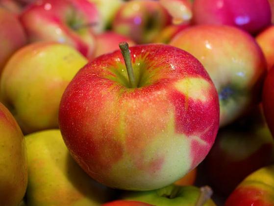 Svjetski dan jabuka: Poljska najveći prizvođač u EU 