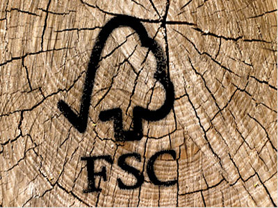 Sve veći interes drvnih kompanija za FSC certifikatima
