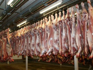 Tržište zatrpano uvezenim mesom, snažan pad izvoza