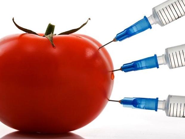 Hrvatska među 11 zemalja koje su zatražile izuzeće GMO-a