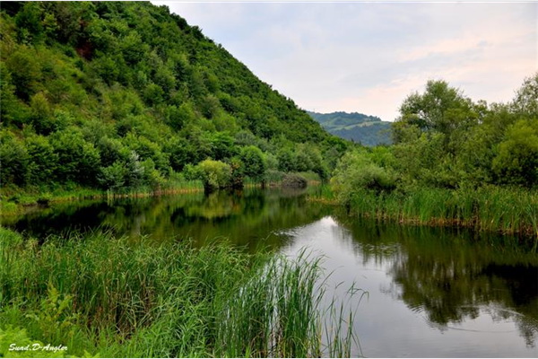 Udruženje Bistro: Otvaranje sezone ribolova 28. februara na jezeru Starača