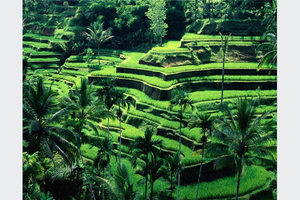 Viator vas vodi na Bali: Savršeno mjesto da pronađete svoj mir