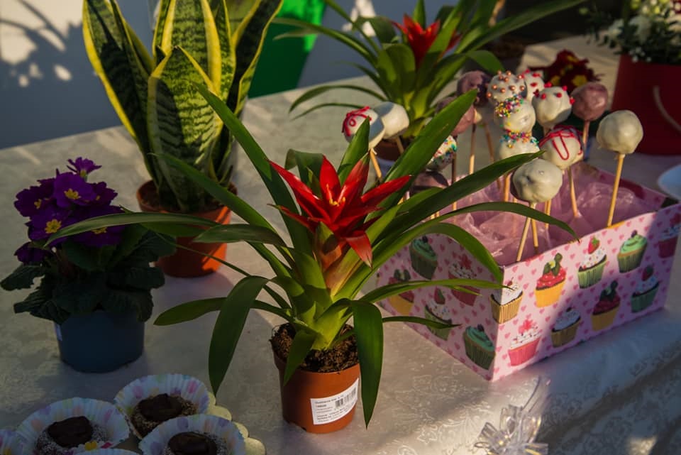 Kompanija ESOF proširila svoju djelatnost otvorivši svoju prvu cvjećaru