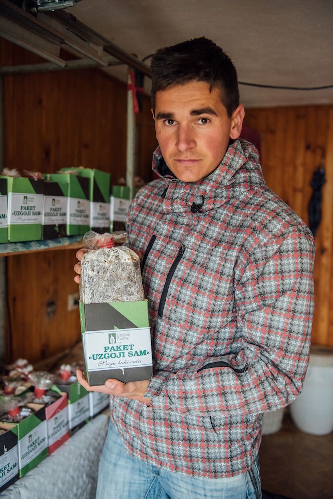 Urbana farma: Poduzetnik iz Bugojna uzgojio bukovaču u kafi