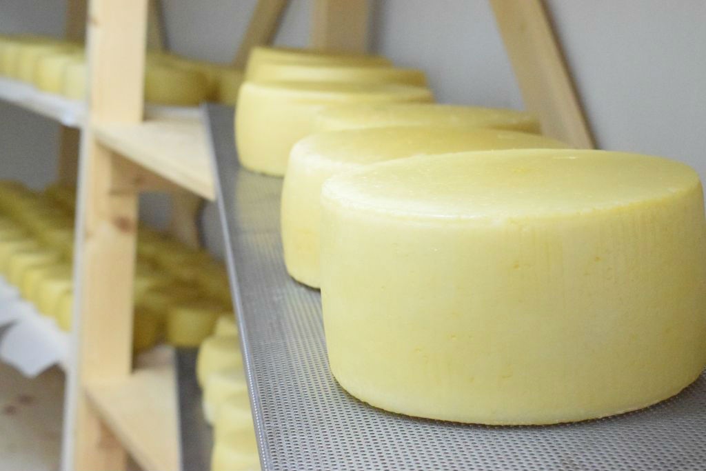 Miroslav Klječanin širi proizvodnju kozjeg sira na Očaušu