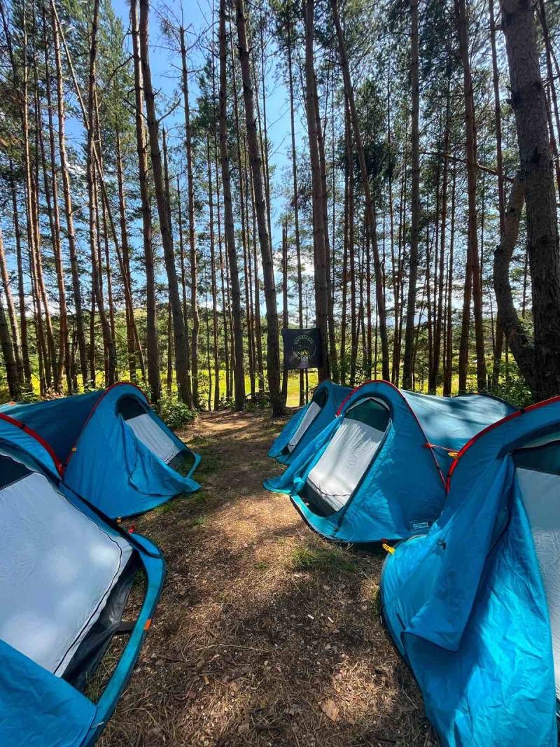 naturaleza kamp
