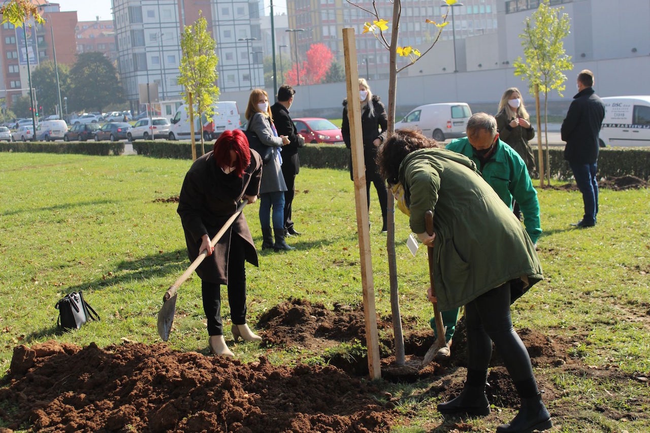 ProCredit Bank jača pluća grada: U centru Sarajeva zasadili stabla