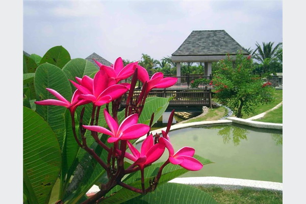Viator vas vodi na Bali: Savršeno mjesto da pronađete svoj mir