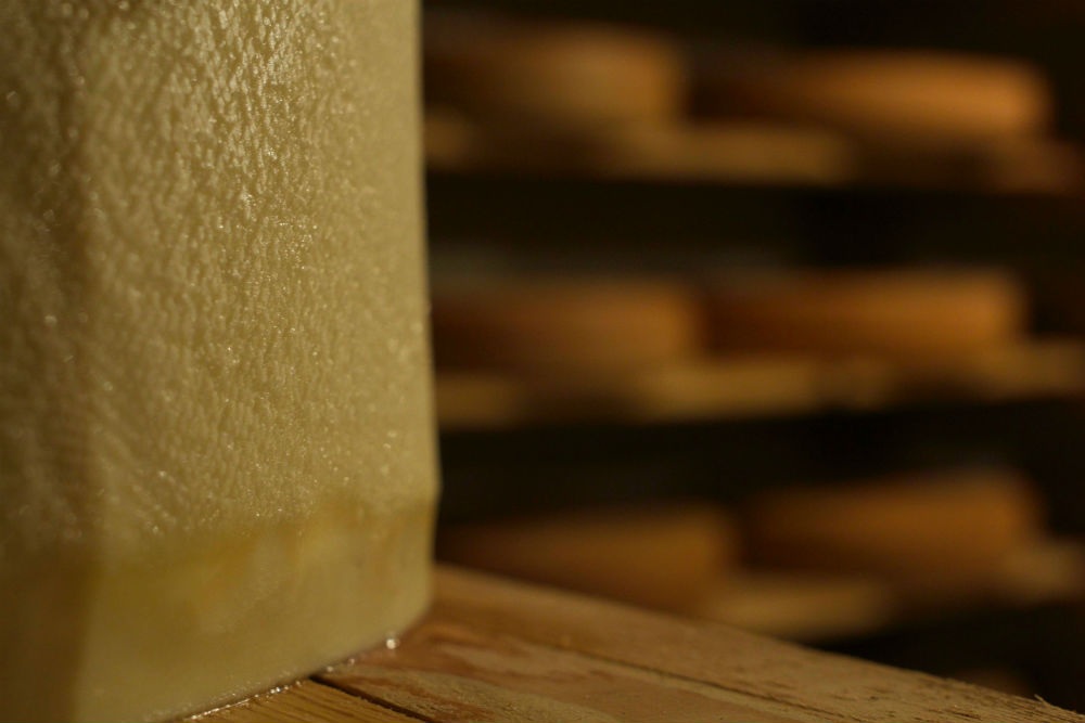 Na platou kanjona Tare proizvode sir po receptu starom 200 godina 