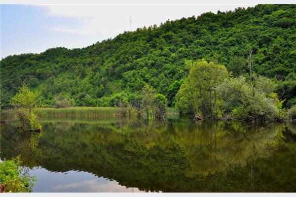 Jezero Starača: U mjesecu oktobru dva takmičenja u sportskom ribolovu