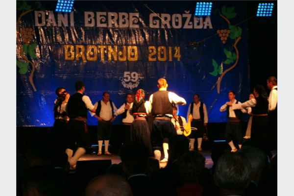 'Dani berbe grožđa-Brotnjo 2014' okupili veliki broj vinara iz Hercegovine