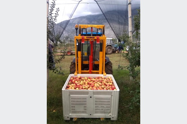 Okončana uspješna sezona: Jabuke iz Popovog polja izvezene u Holandiju 