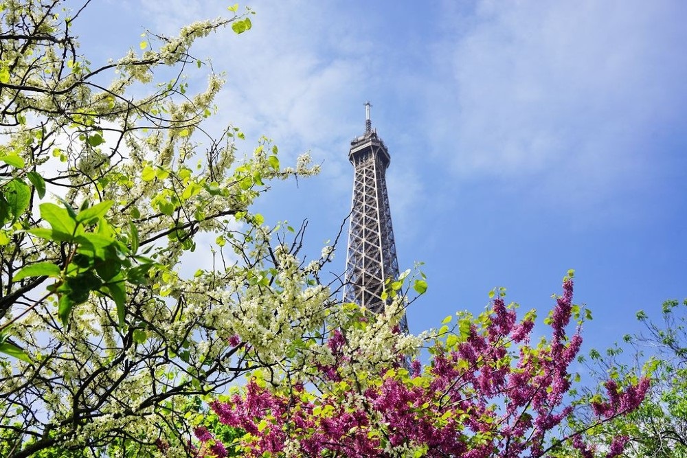 Proljeće u Parizu: Fotografije zbog kojih ćete se ponovno zaljubiti u najromantičniji grad