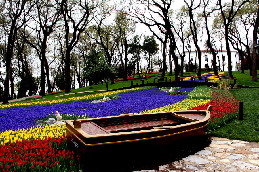 Vrijeme je za tulipane: U Istanbulu počeo 12. Međunarodni festival tulipana