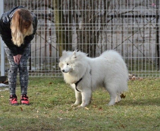 Na upotrebu predan park za pse u Novom Sarajevu