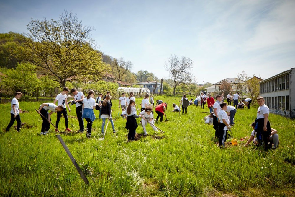 Lukavac Cement i učenici OŠ Lukavac grad zasadili 500 novih stabala