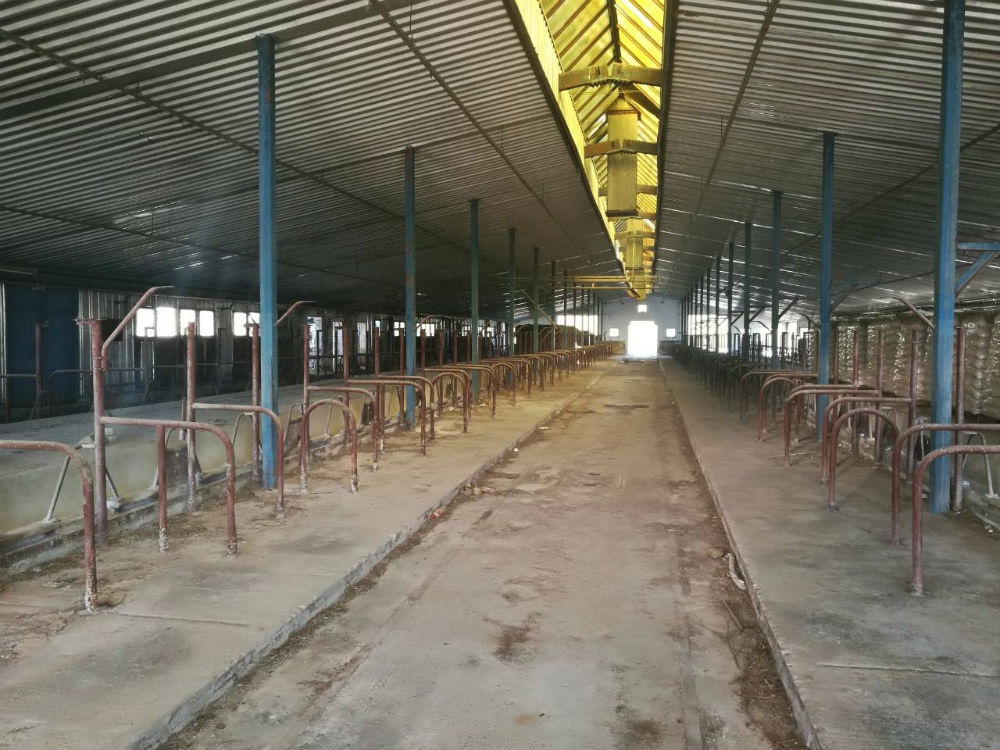 Banjalučka firma digla Farmu Romanije na noge: Prve količine mlijeka najesen