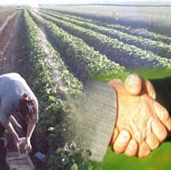Savez općinskih udruga poljoprivrednika USK-a: Žele zadržati istu razinu proizvodnje