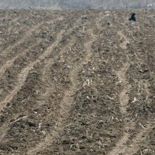 Za zakup poljoprivrednog zemljišta u Kozarskoj Dubici pristiglo 100 prijava