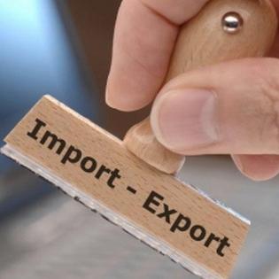 Suspenzija i smanjenje carinskih stopa za uvoz određene robe