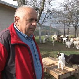 Karlić: Uzgajao bih koze, pravio sir i uposlio nekoliko radnika