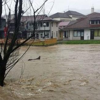 Obuka službenika za javne nabavke, e-aukcije, industrijsku sigurnosnu dozvolu Obuka službenika za javne nabavke, e-aukcije, industrijsku sigurnosnu dozvolu