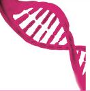 Uskoro prvi put u BiH genetski test za ranu detekciju raka dojke i jajnika
