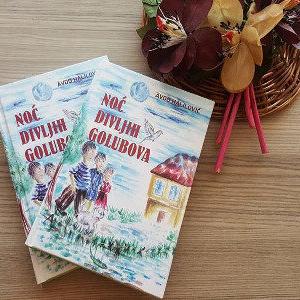 Nova knjiga Avde Halilovića u izdanju Planjaxa