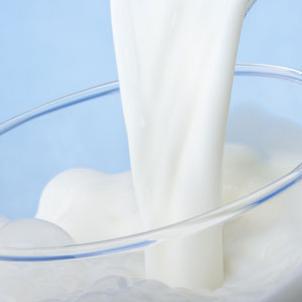 U prevazilaženju prepreka za izvoz mlijeka pomažu konsultant iz Slovenije