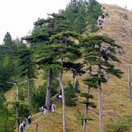 Zvanično otvoren spomenik prirode Tajan