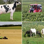 Vlada FBiH i Zadružni savez FBiH: Osnažiti zadrugarstvo u poljoprivredi