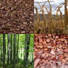 Projekt međudržavne saradnje povezivanja: Iskorištenost biomase za BiH i RH – Vrijednost projekta za obje zemlje 600.000 EUR