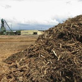Proizvodnja energije iz biomase pokretač razvoja Posavine