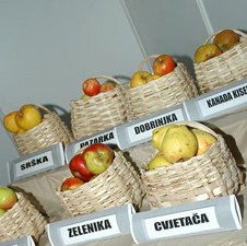 U Goraždu sutra otvaranje privredno-kulturne manifestacije 'Dani jabuke'