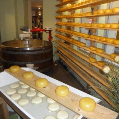 EU obustavila pomoć i proizvođačima sira
