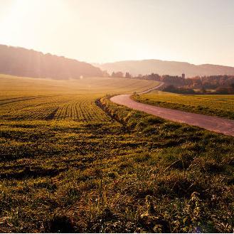 Prijavite se: Grad Tuzla daje u zakup poljoprivredno zemljište