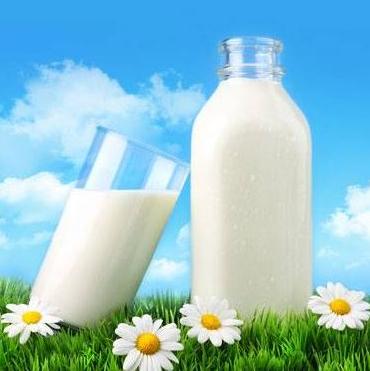 Preduzimaju se mjere da se obezbijedi plasman mlijeka u EU
