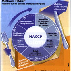 SERDA: Danas promovirano 18 novih HACCP menadžera