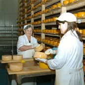 Livanjski sir će uskoro biti zaštićen