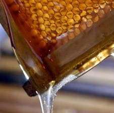 Domaće pčelare obradovala mogućnost skorog izvoza meda na EU tržište