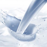 Proizvođači mlijeka iz Cazina u 2009. godini proizveli osam miliona litara mlijeka